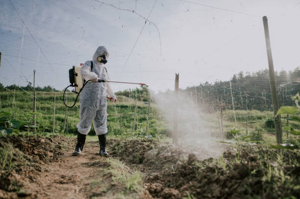 Best Ant Control Services  in Jericho, NY