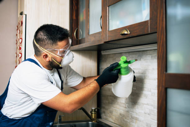 Jericho, NY Pest Control Company