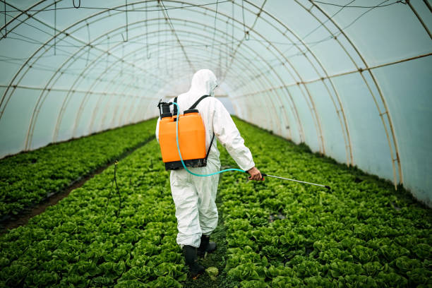 Best Mosquito Control Services  in Jericho, NY