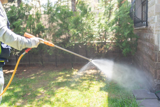 Reliable Jericho, NY Pest Control Solutions