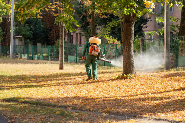 Bird Control in Jericho, NY