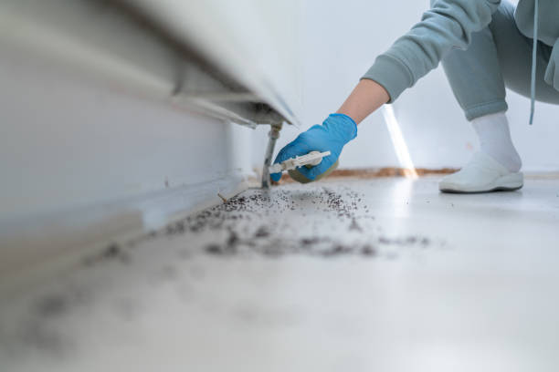 Best Pest Removal Services  in Jericho, NY